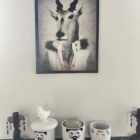 Bureau51– Centre Historique Appartement Auch